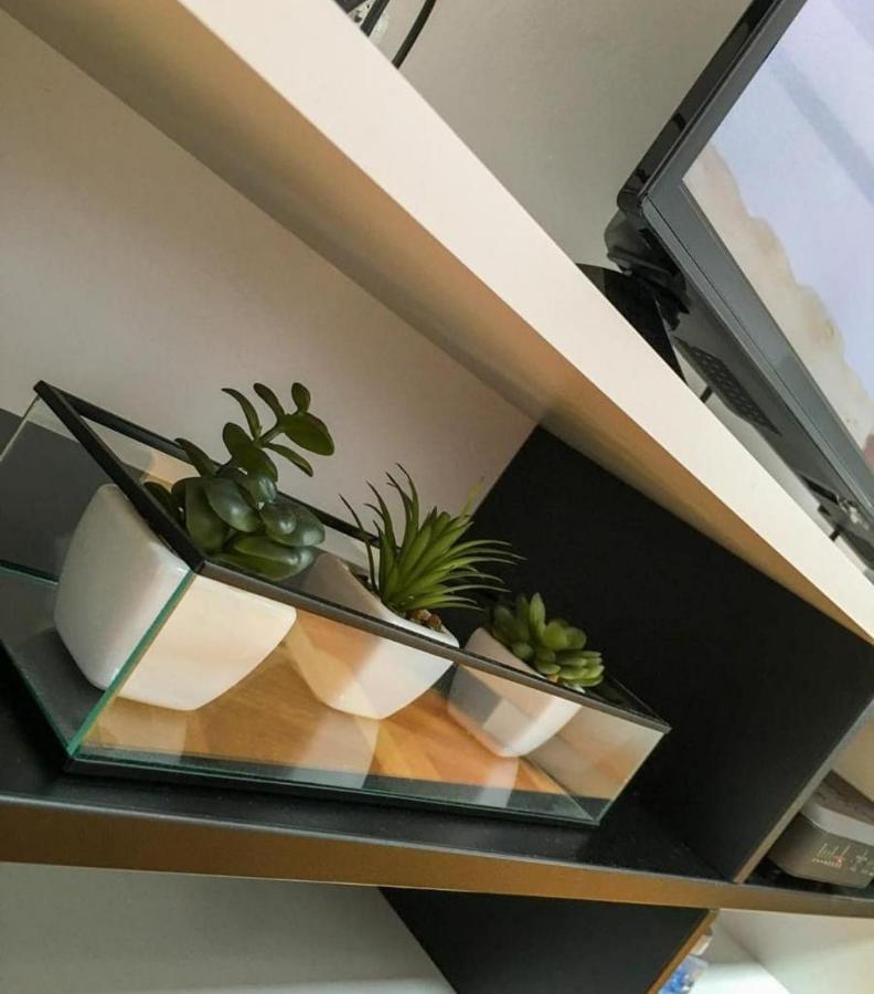 Apartment Paradise Čačak מראה חיצוני תמונה
